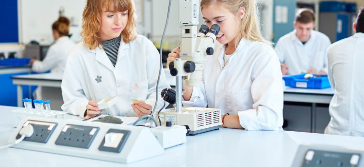 医学健康和生命科学学院