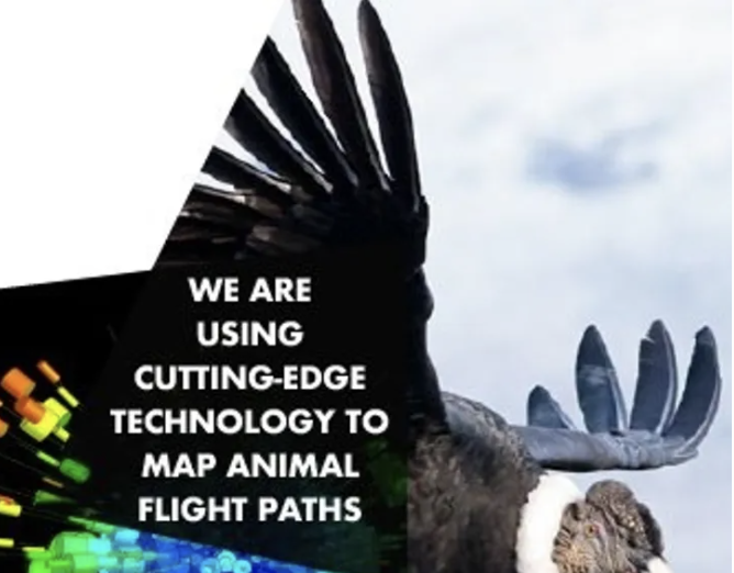 我们所面临的环境挑战是世界性的，所以，斯旺西大学的研究也在积极探索为子孙后代保护世界的途径。

从运行英国大型海草恢复项目，到与SLAM（斯旺西动物运动实验室）一起在阿根廷追随秃鹰翱翔，从推进对南极洲冰山撞击的理解，再到创造能够利用和储存自身能量的建筑……我们充满激情的学术团队正在积极为未来对抗气候问题做准备。